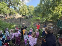 2025-05-20 Biedronki w ZOO